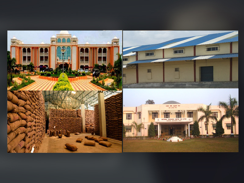 Drashta Foundation